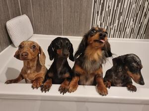 Bath time