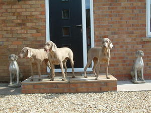Grandma Sissy, Ego centre & Mum Diva