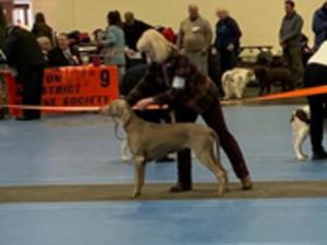 Dolly 2nd place