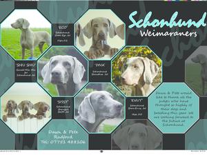 Proud Schonhund's