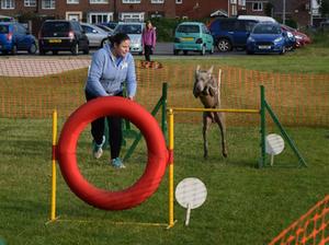Magic doing agility