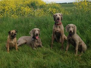 Grace with her brothers & a friend