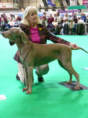 Dolly wins Best Puppy in Breed at Crufts 2018