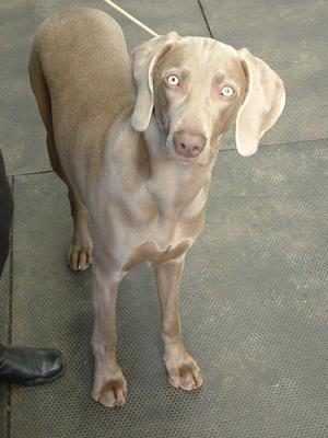 MATHILDE AT 10 MONTHS