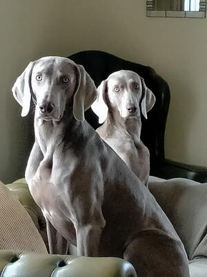 Finn with his mum Dolly