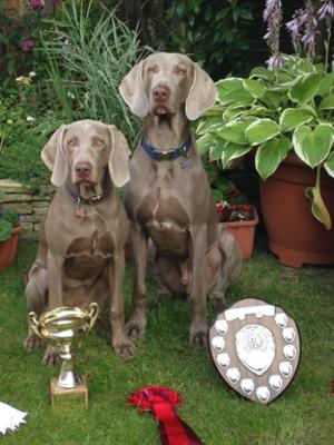 Grace wins Best Puppy in Show