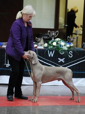 Ego winning 1st place