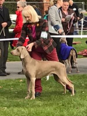 Dolly at GSOW