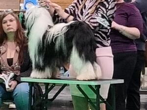 On the Table