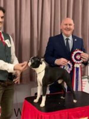 BPIS BTC Champ Show