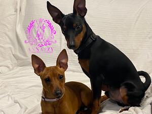 Zak ANNASZY KC & Chanel ANNASZY KC