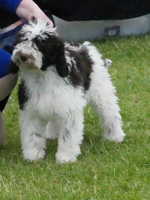 Just a bundle of cuteness at four months old!