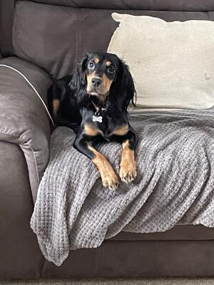 Likes her home comforts