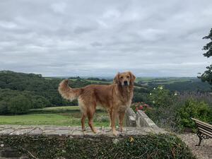 Posing for the view