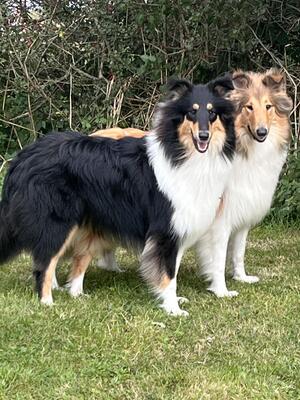 Kyra & Luna Up and Coming 9 months