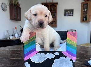 25 days old - 4lbs 6oz