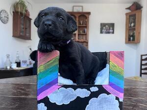 25 days old - 4lbs 7oz