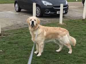Monty 12 months