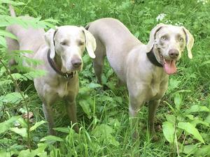 Mum Lucy & Maisey-Mae (RHS)