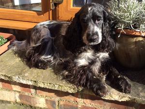 Nellie. The proud mum.