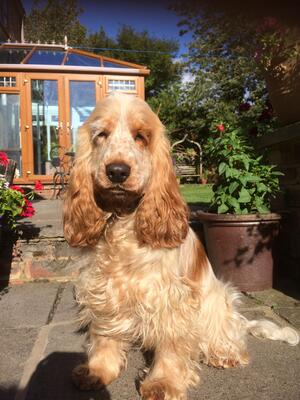 Our newest addition “Mabel” is Jess’s daught