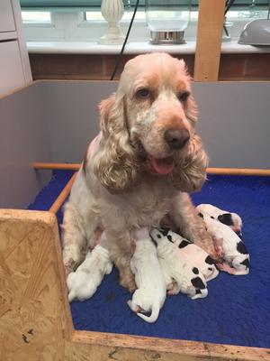 Doris & 1 day old babies