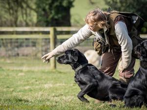 Woody - training with the TGC.