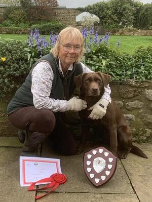 Working Test Winner Tarnedge Trial Run