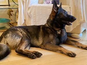 Leya Relaxing