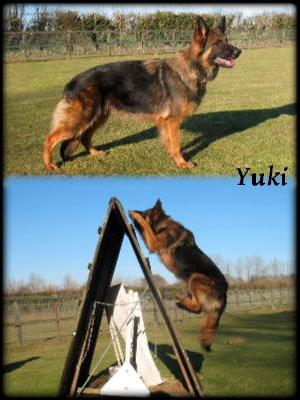 YUKI AT 3.YEARS