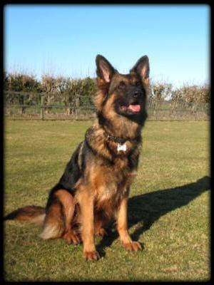 YUKI AT 3.YEARS