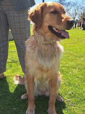 Mum winning a show