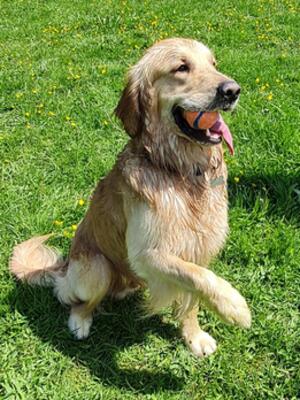 Retriving