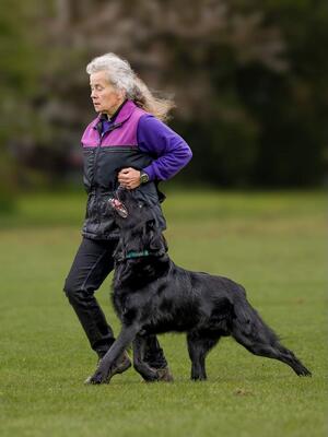 Caroline and Dabble at an obedience competition