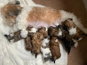 Feeding time with mum !