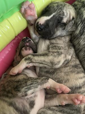 Remaining boy 💙 - Cosmictrip Tourmaline