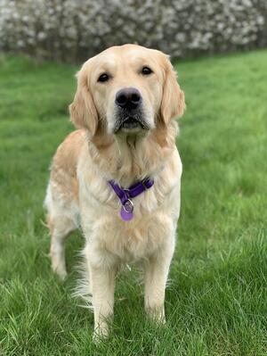 Gracie - 12 months