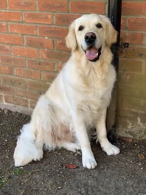 Luna - 4 years