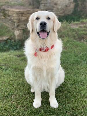 Red at 3 years