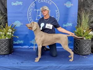 Best Puppy in Breed Bournmouth Champ Show