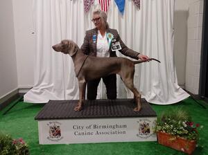 Lulu Best Junior in Breed 2019