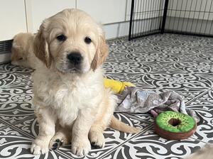 Going to be so handsome