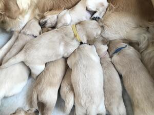 Two beautiful boys left !