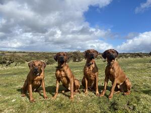 Murphy on the right