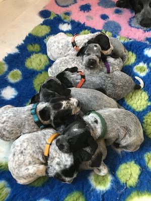 3 weeks old