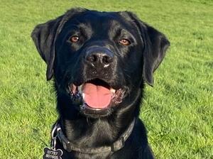 Always happy