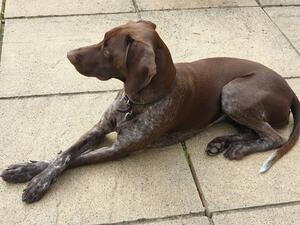 Sunning herself