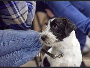 Picture By Jenny Evans