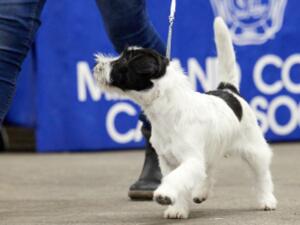 Picture By Jenny Evans