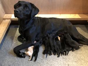 3 days old